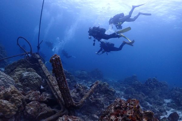 日本・沖縄県「渡嘉敷ダイビング　」の写真：透明度抜群の渡嘉敷の海
