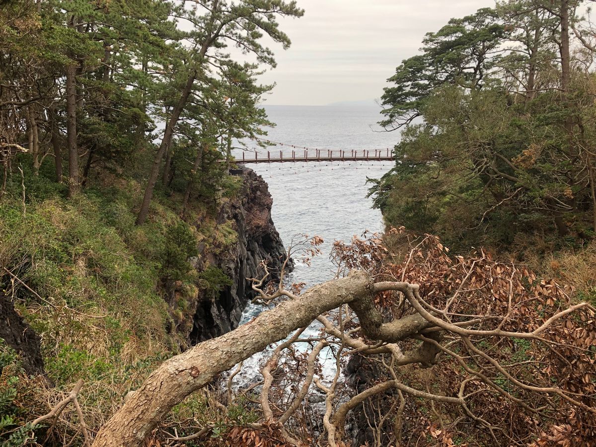 前回投稿の続きです！

1枚目→温泉で有名な修善寺
2枚目→南伊豆・扇屋製...