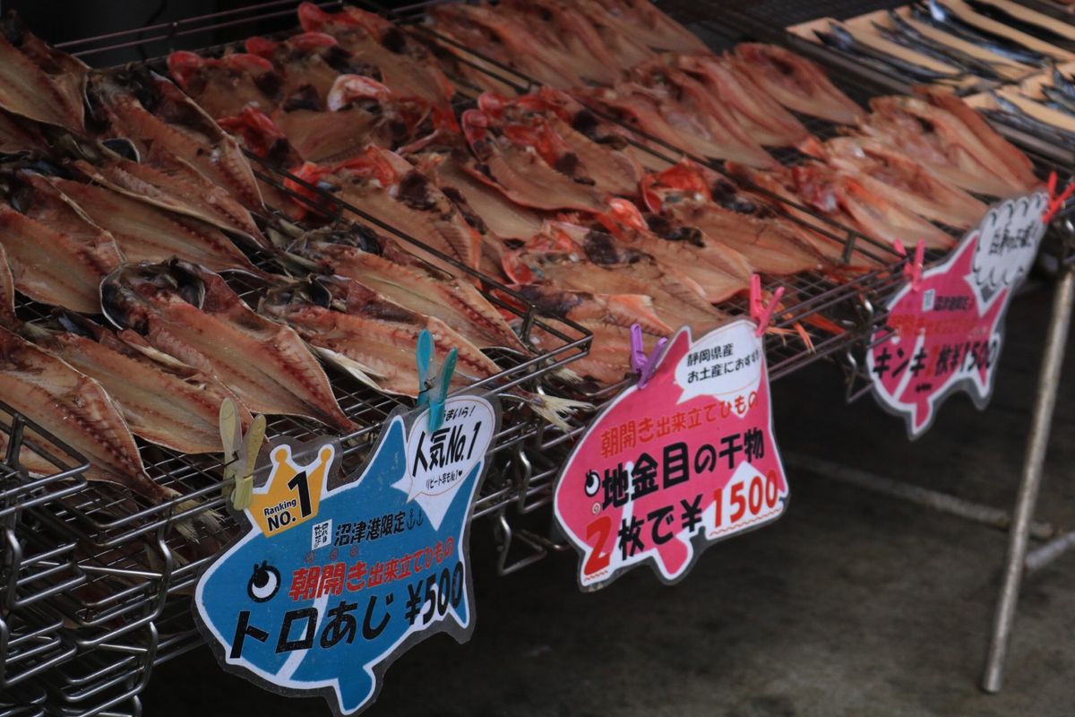 伊豆旅行初日の韮山反射炉と沼津の写真です！
一枚目は富士山と反射炉のコラボ...