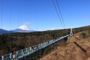 伊豆旅行最終日になります！

1枚目→三島スカイウォーク
2枚目→泊まった...