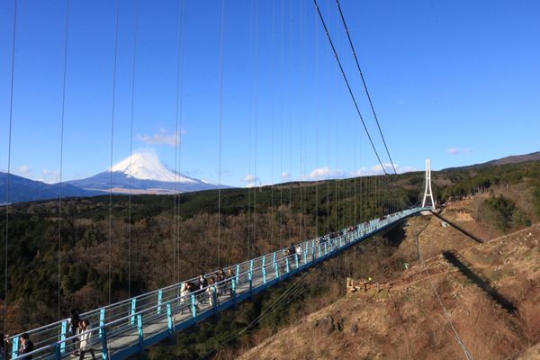 日本・伊豆「伊豆半島の旅 2019/12」の写真：伊豆旅行最終日になります！

1枚目→三...