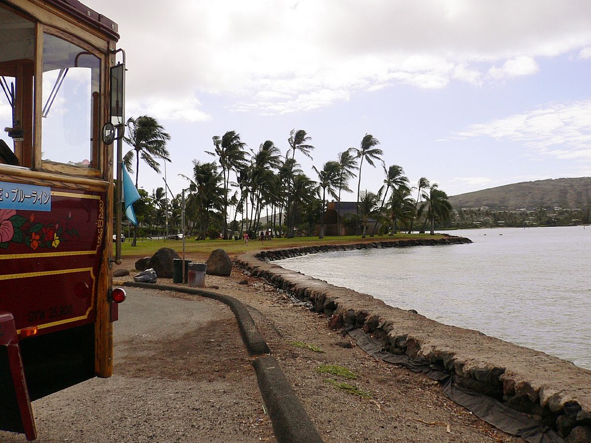 Sea Life Parkへ
当たり前の事ですが、海がきれい‼️