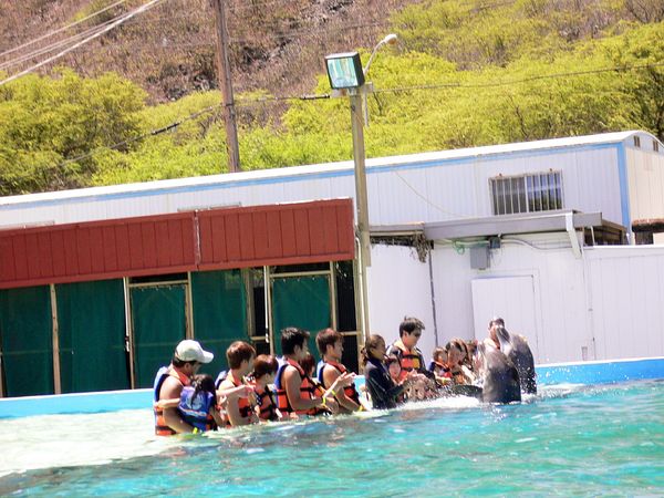 アメリカ(米国)・ハワイ「2007：Family Trip@Hawaii」の写真：@Sea Life Park🐬
長男、妻...