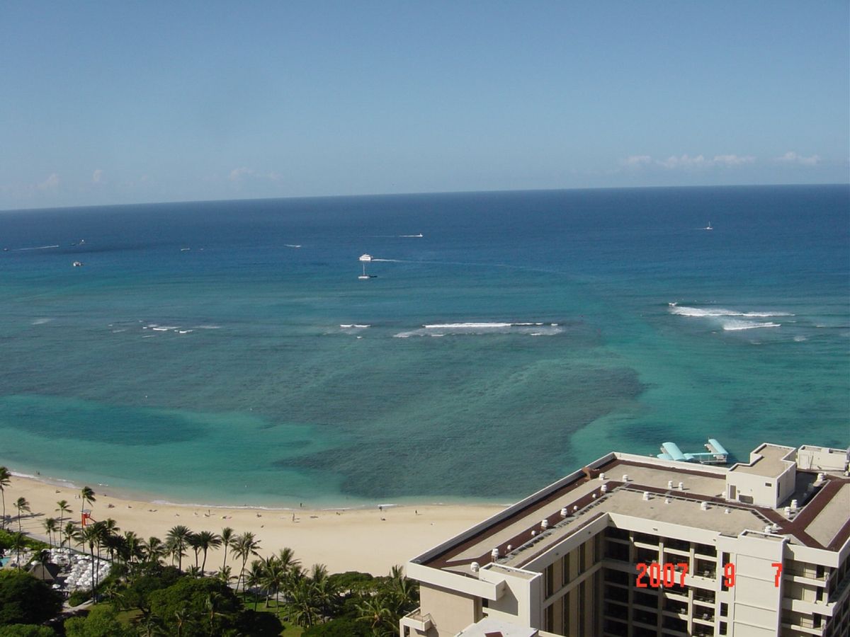 @Hilton Hawaiian Village その2
ベランダに珍客が...