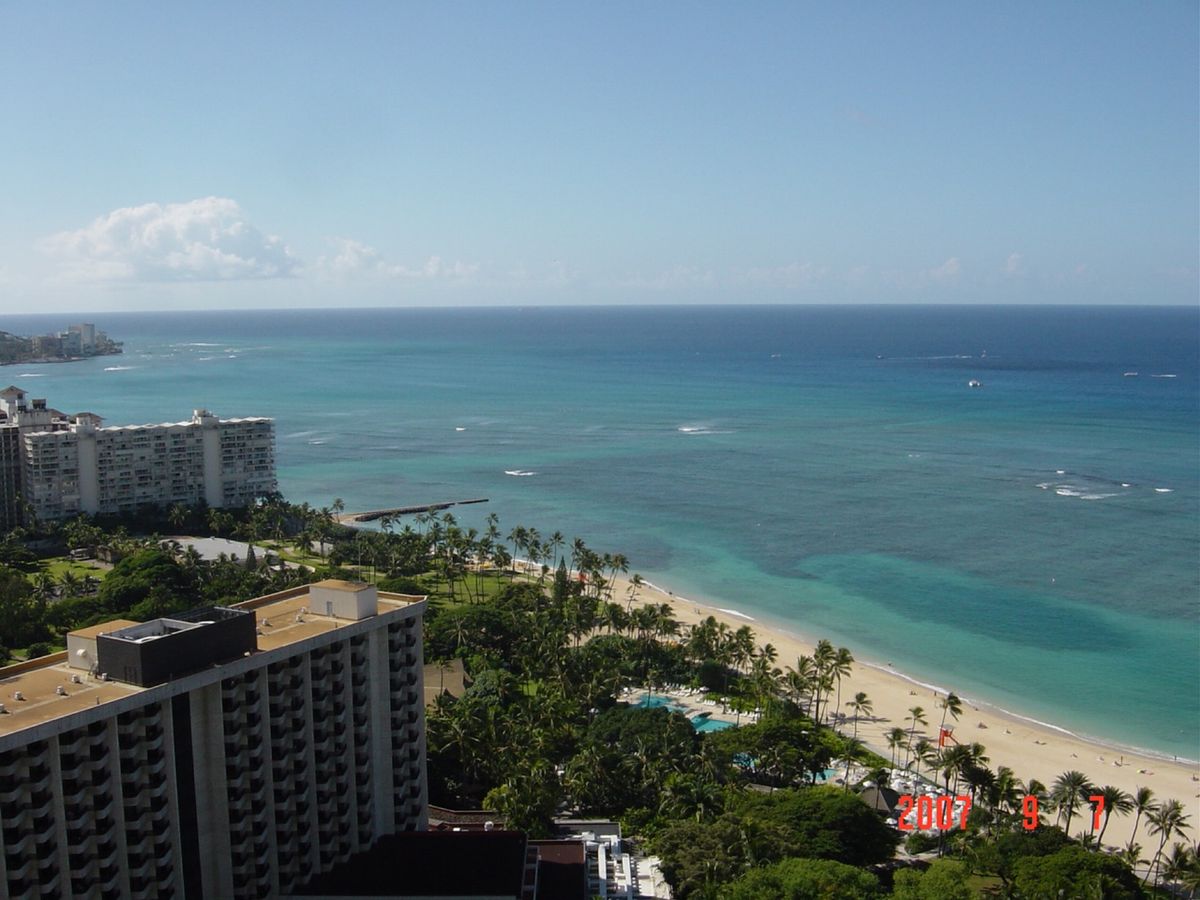 @Hilton Hawaiian Village その2
ベランダに珍客が...