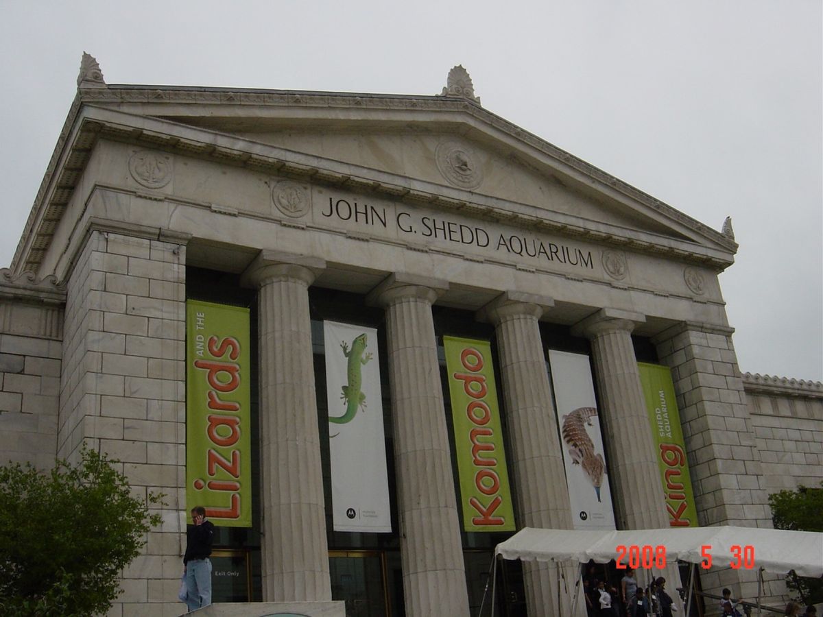 @John G Shedd Aquarium
悲しいかな、スーツ姿の男子だ...