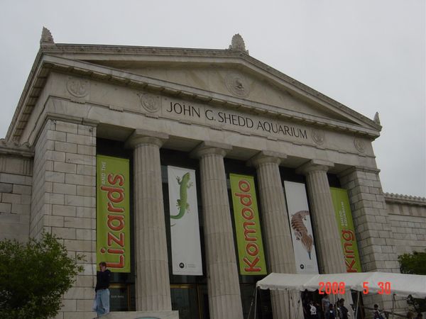 アメリカ(米国)・シカゴ「2008：ASCO@Chicago」の写真：@John G Shedd Aquari...