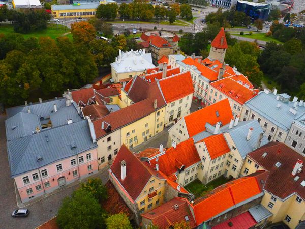 エストニア「エストニア」の写真