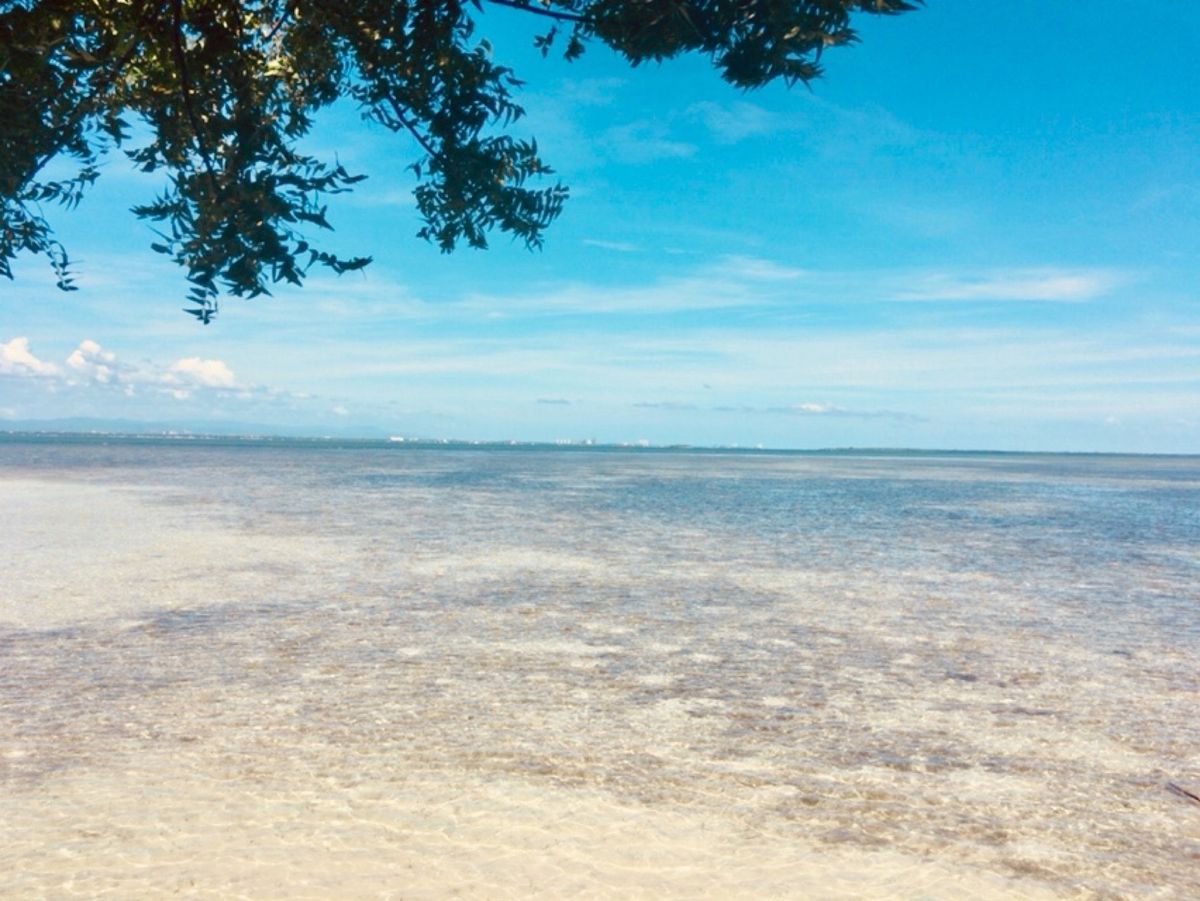 Nalusuan island 🏝