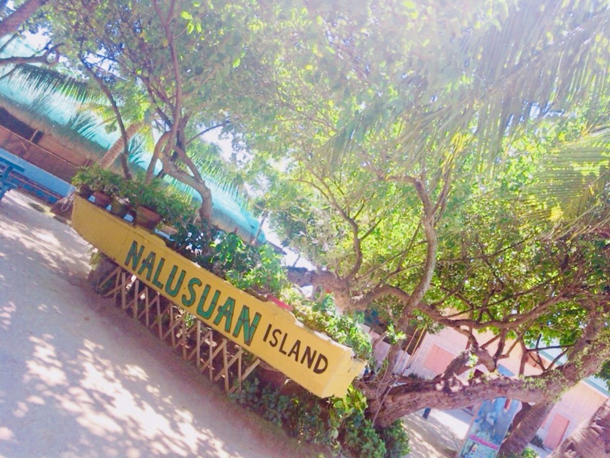 Nalusuan island 🏝