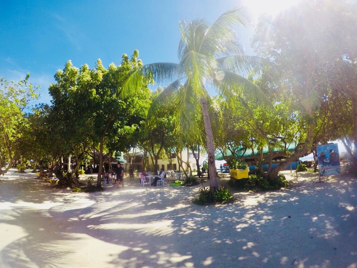 Nalusuan island 🏝