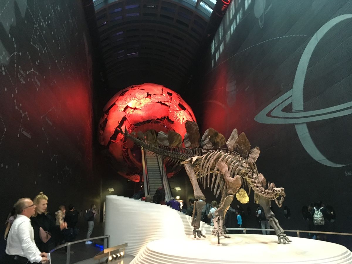 Natural History Museum 