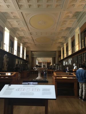 The British Museum 