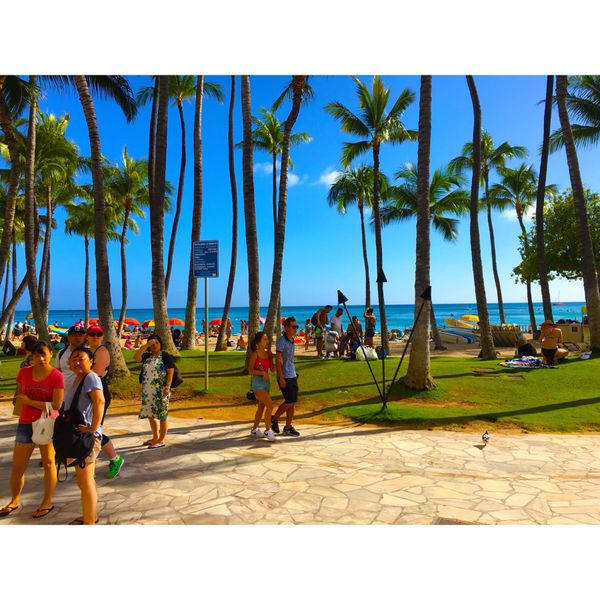 アメリカ(米国)・ハワイ「約束のHawaii旅行🌺」の写真