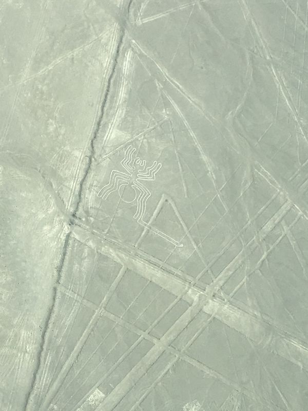 ペルー・マチュピチュ「最も記憶に残る旅_命懸けのPeru🇵🇪」の写真