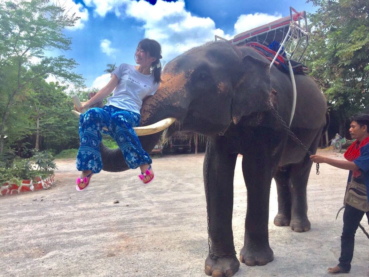 初めてゾウに乗った日🐘🎉