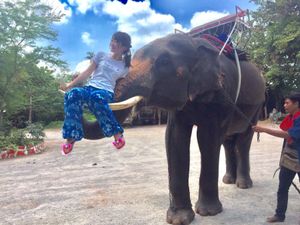 初めてゾウに乗った日🐘🎉