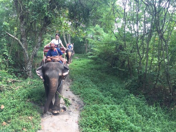 タイ・バンコク「バンコク」の写真：一歩ゾウさんが歩く度に、揺れすぎて落ちそ...