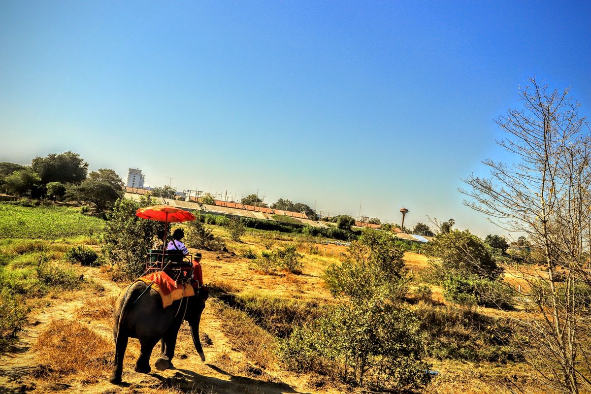また行きたい。タイは本当にいいところだった食べ物は美味しいし、建造物も美し...