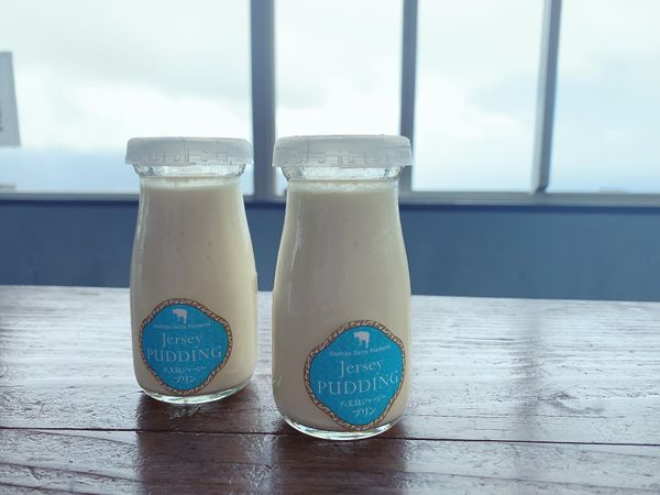 日本・東京「八丈島」の写真：ジャージーぷりん！
牛さんたちを見ながら...