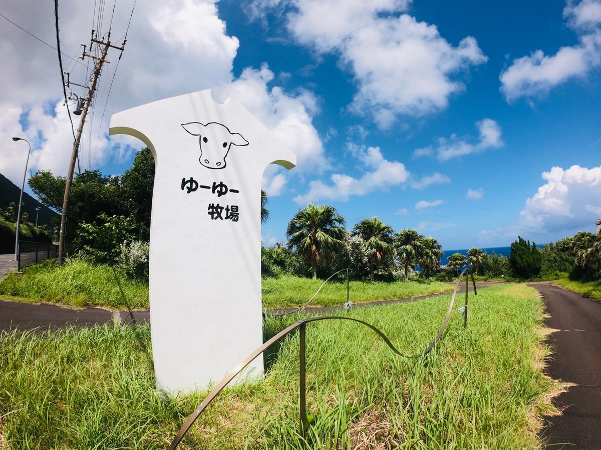 宿の隣にあったゆーゆー牧場🐮
長閑だなぁ☺️