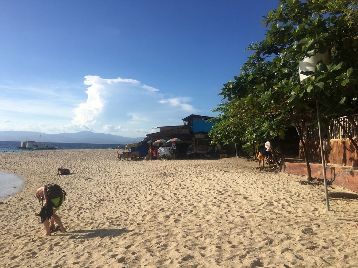 バスで4時間かけてモアルボアルのホワイトビーチへ。