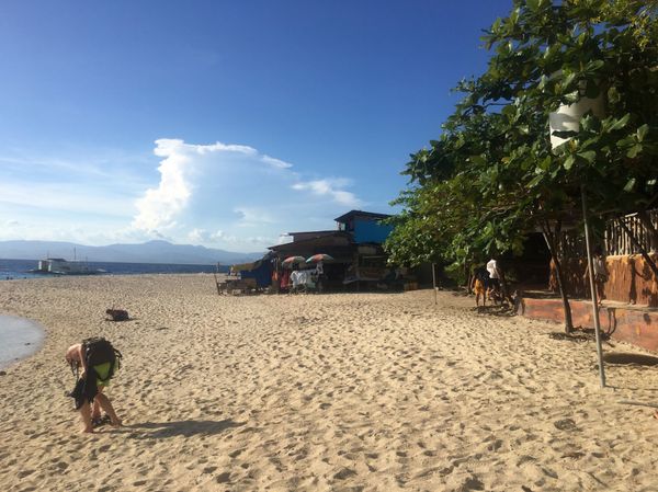 フィリピン・セブ島「卒業旅行」の写真：バスで4時間かけてモアルボアルのホワイト...