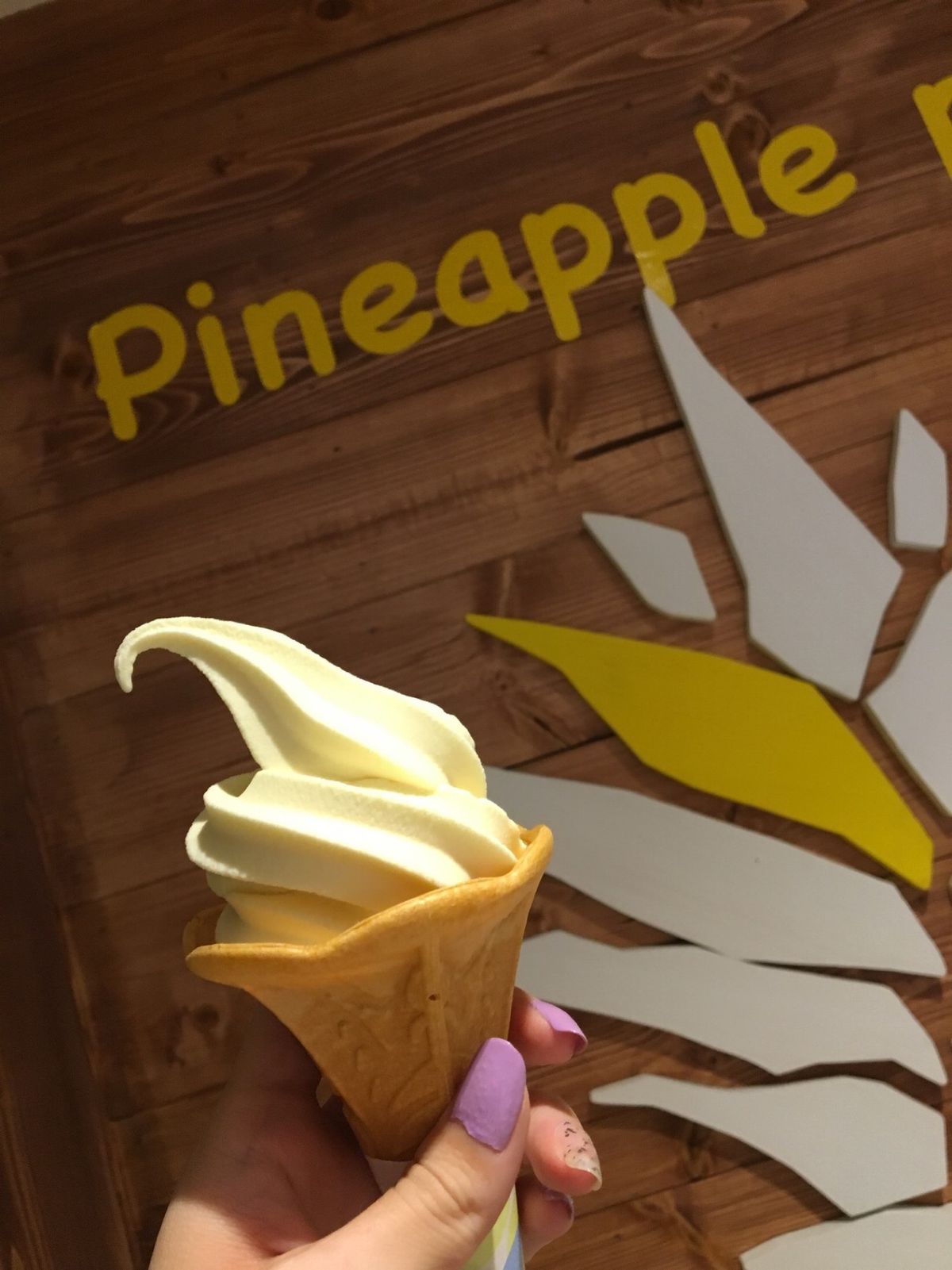 📍パイナップルパーク
ここのハイビスカスロゼはおすすめ