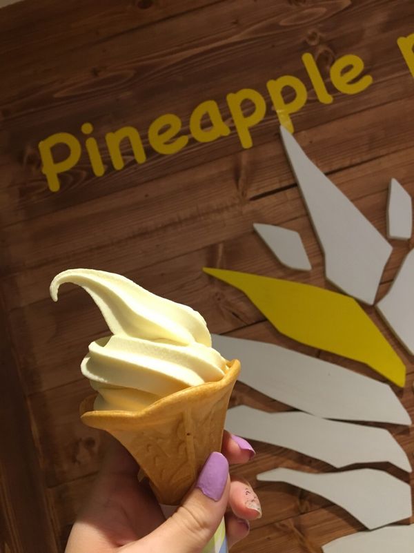 日本・沖縄「社員旅行」の写真：📍パイナップルパーク
ここのハイビスカス...