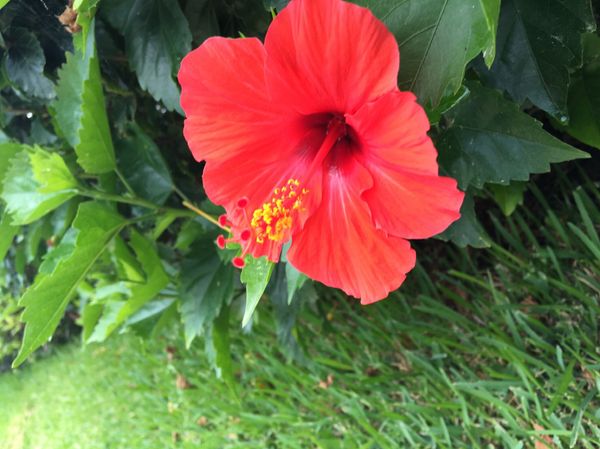 日本・沖縄「社員旅行」の写真