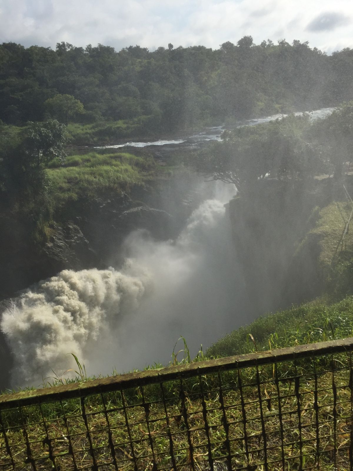 マーチソンフォールズ国立公園のサファリ・滝
ナイル川を渡るゾウの珍しい姿も...