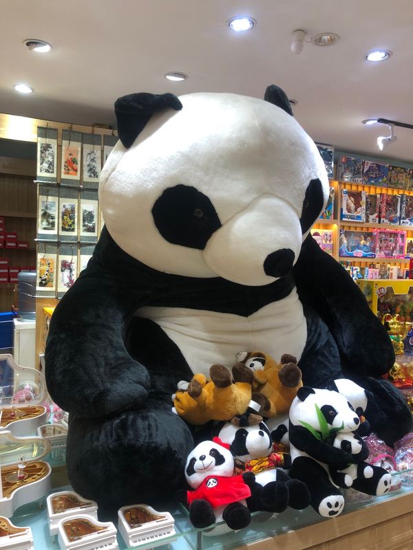 中国・北京「北京」の写真：街をぶらぶら

ホテルでは弦楽の演奏✨
...