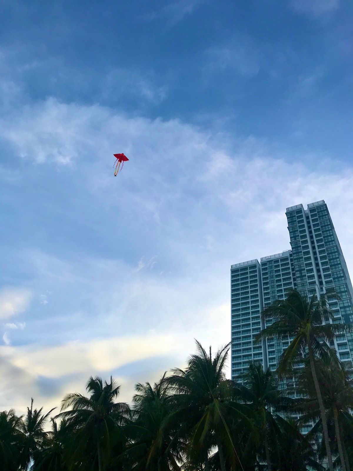 ニャチャンのビーチを散歩、足に食い込む砂が心地よい。
コロナのせいで観光客...