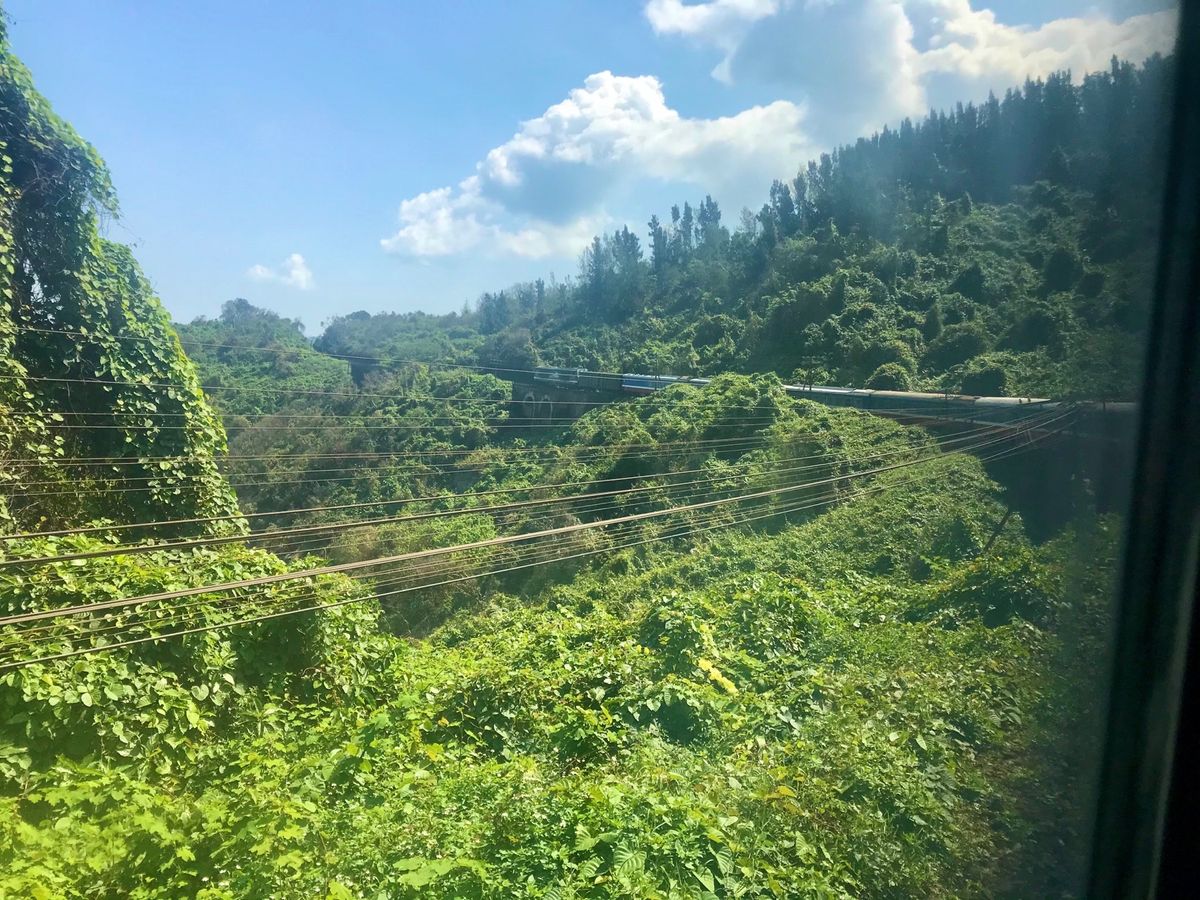 ベトナム統一鉄道の旅
ニャチャンから鉄道に揺られること14時間、ちょうどい...
