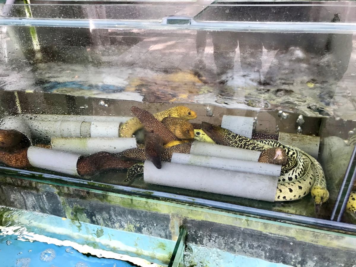 ハノイから飛行機で2時間✈️ニャチャンにやってきました。
30℃をちょっと...