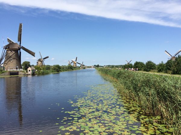 オランダ・アムステルダム「オランダ」の写真：キンデルダイク
電車とバスを乗り継いで
...