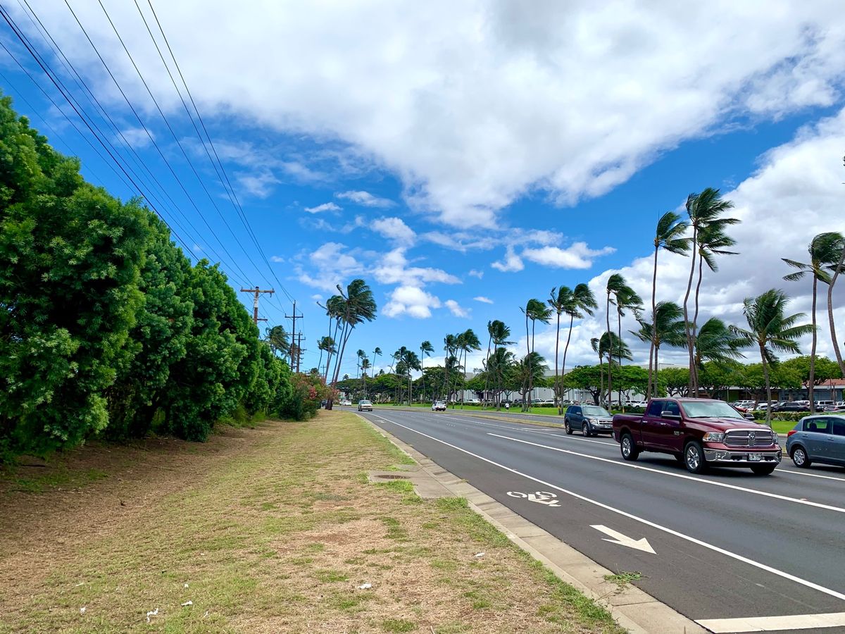Maui Language Schoolやホストファミリーのおうちからの風...