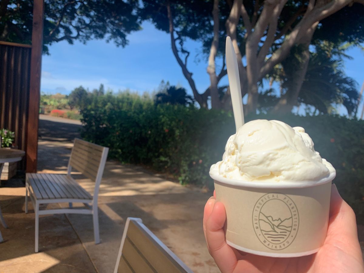 マウイ島で食べた美味しいものたち🍴