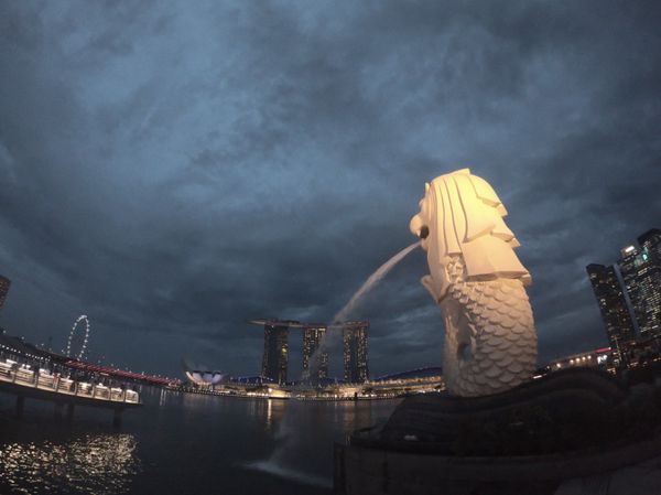 シンガポール・シンガポール「Trip to Singapore」の写真