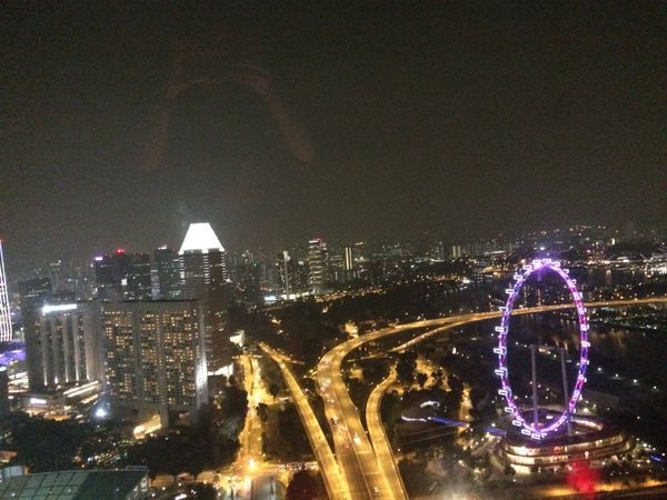 シンガポール「人生初海外🇸🇬」の写真：この夜景、次は展望デッキではなくホテルの...