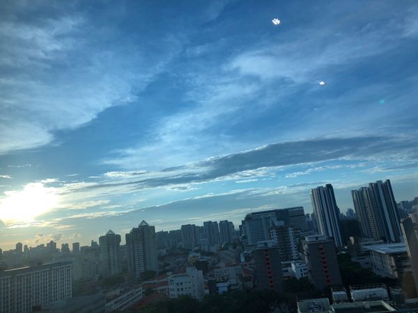 シンガポール「舞い戻るシンガポール」の写真