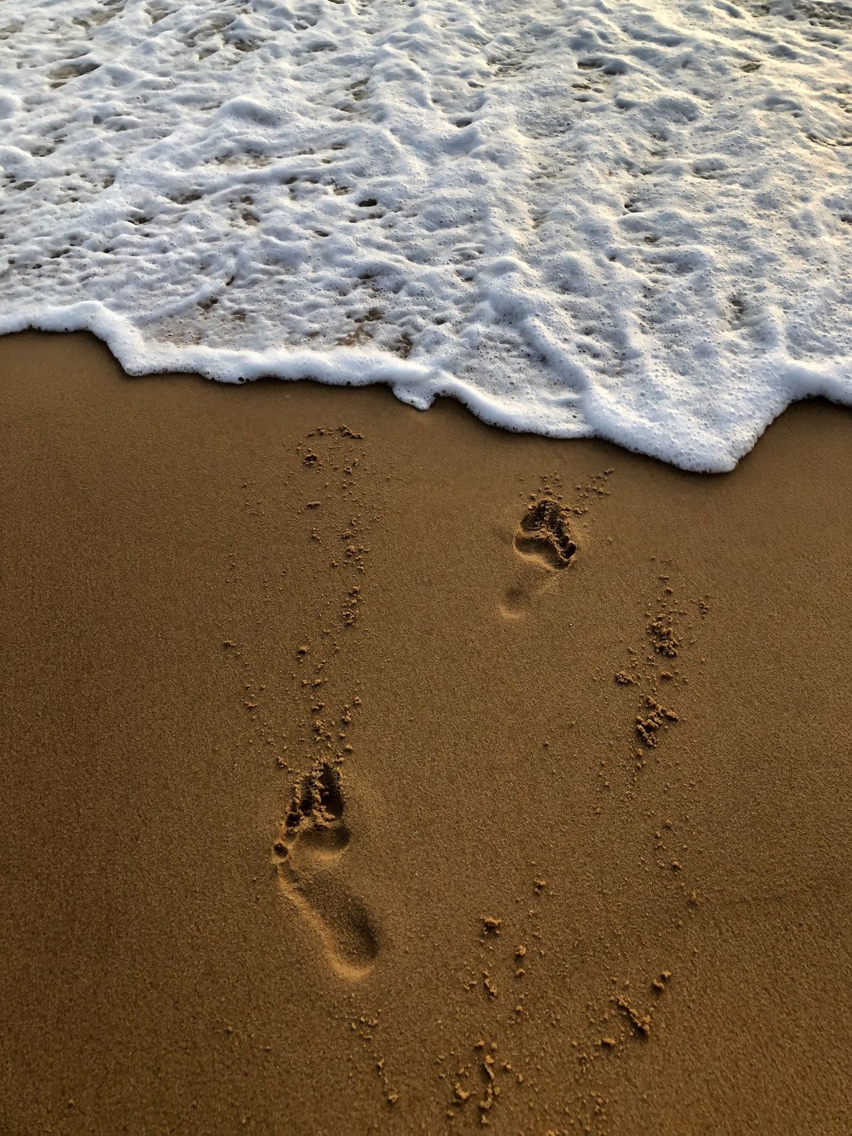 ホテルのプライベートビーチ🏖