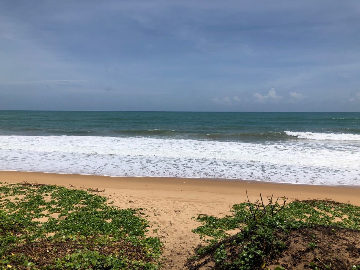 ホテルのプライベートビーチ🏖