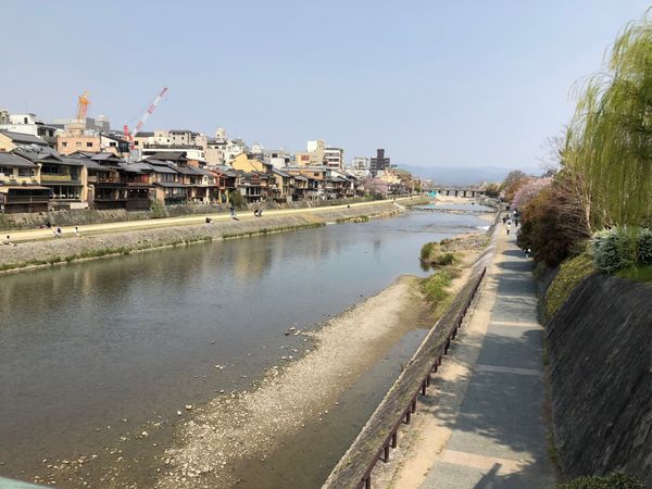 日本・京都「仕事の合間に京都旅」の写真