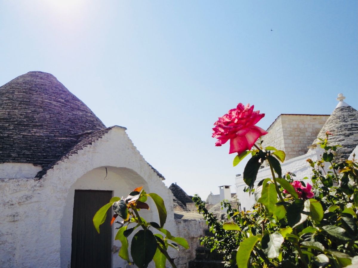 19th Jul. 2013 pic📷

in Alberobello🌹
...
