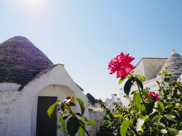 イタリア・ナポリ「Italy🇮🇹Vatican🇻🇦第4回母娘旅行👩‍👧」の写真：19th Jul. 2013 pic📷
...