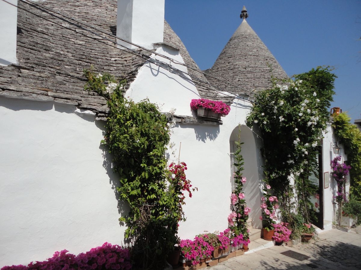 19th Jul. 2013 pic📷

アルベロベッロはどこを撮っても絵...