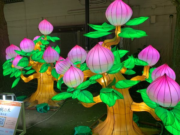 日本・神奈川県「春節の中華街、そしてみなとみらいへ」の写真