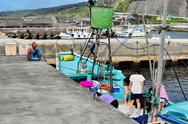 日本・御蔵島「Japan🇯🇵diving trip🤿🐬」の写真：17th Jul. 2012 pic📷
...