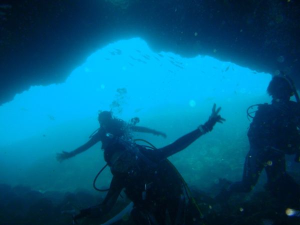 日本・御蔵島「Japan🇯🇵diving trip🤿🐬」の写真：17th Jul. 2012 pic📷
...